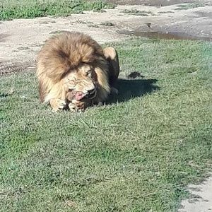 Meet your Posher, Antonella